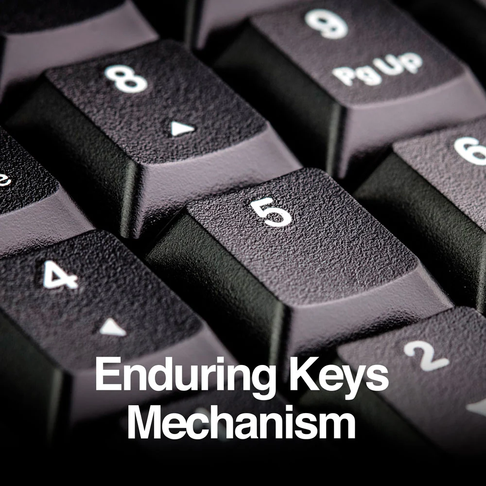 Teclado numérico retráctil USB Argom A00502