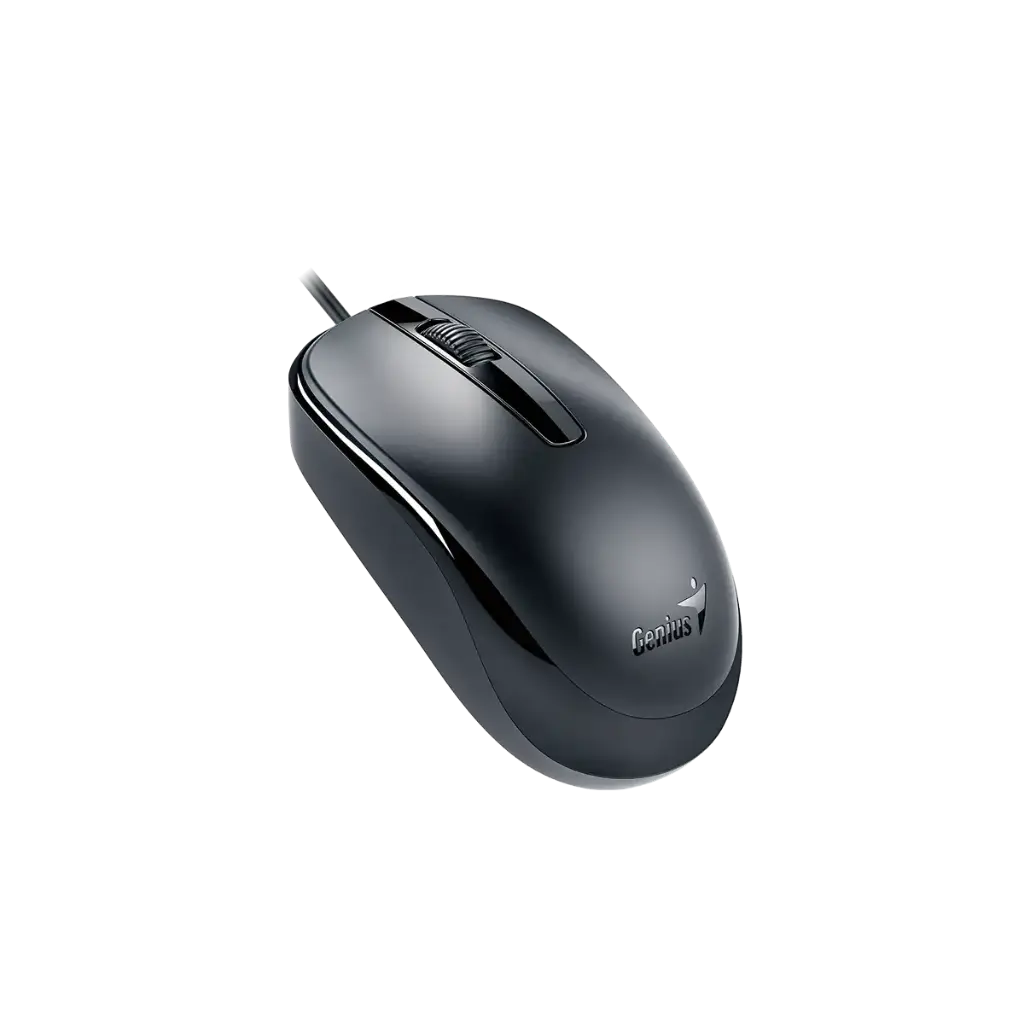 Mouse Genius USB DX-120 Negro