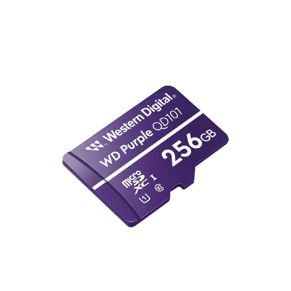 Memoria Western Digital Micro SD Purple 256 GB14- DHI-SSD-C800RS256G