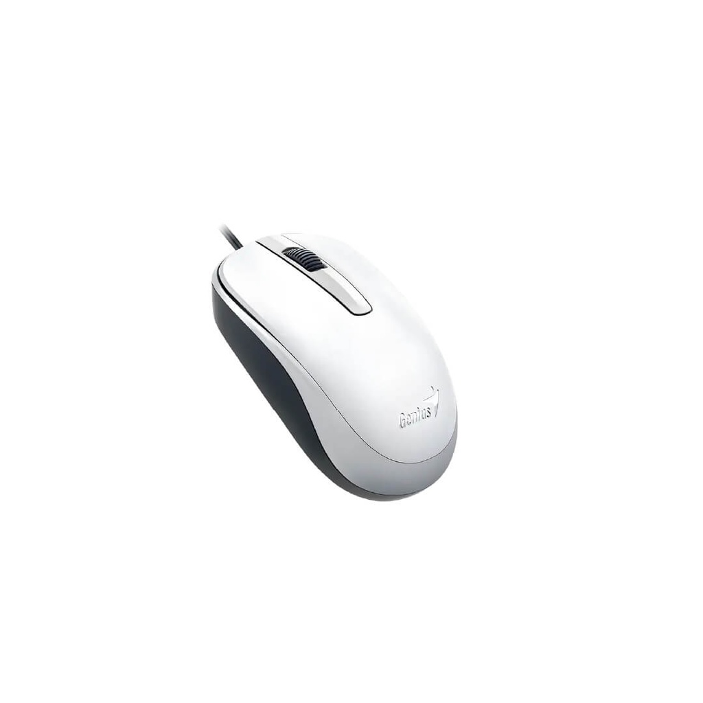 Mouse Genius DX-120 USB Alambrico Negro