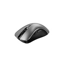 Mouse Genius Ergo 8100S Champagne Titanium