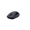 Mouse Genius NX 7000 Inalambrico  Negro