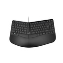Teclado Genius Ergonomico KB-700 Usb Negro