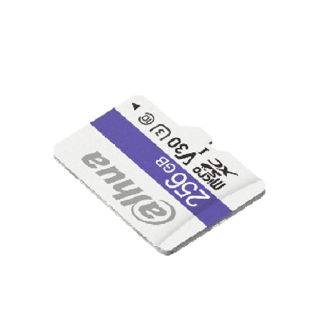Memoria MicroSD Dahua DHI-TF-C100/256GB  