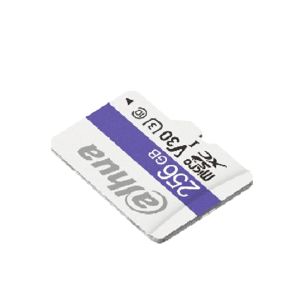 Memoria MicroSD Dahua DHI-TF-C100/256GB  