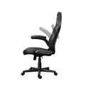 Silla gamer Trust Gxt 703 Riye Negra