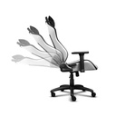 Silla Gamer Ergonomica trust Gxt 714W Ruya Negra Blanca