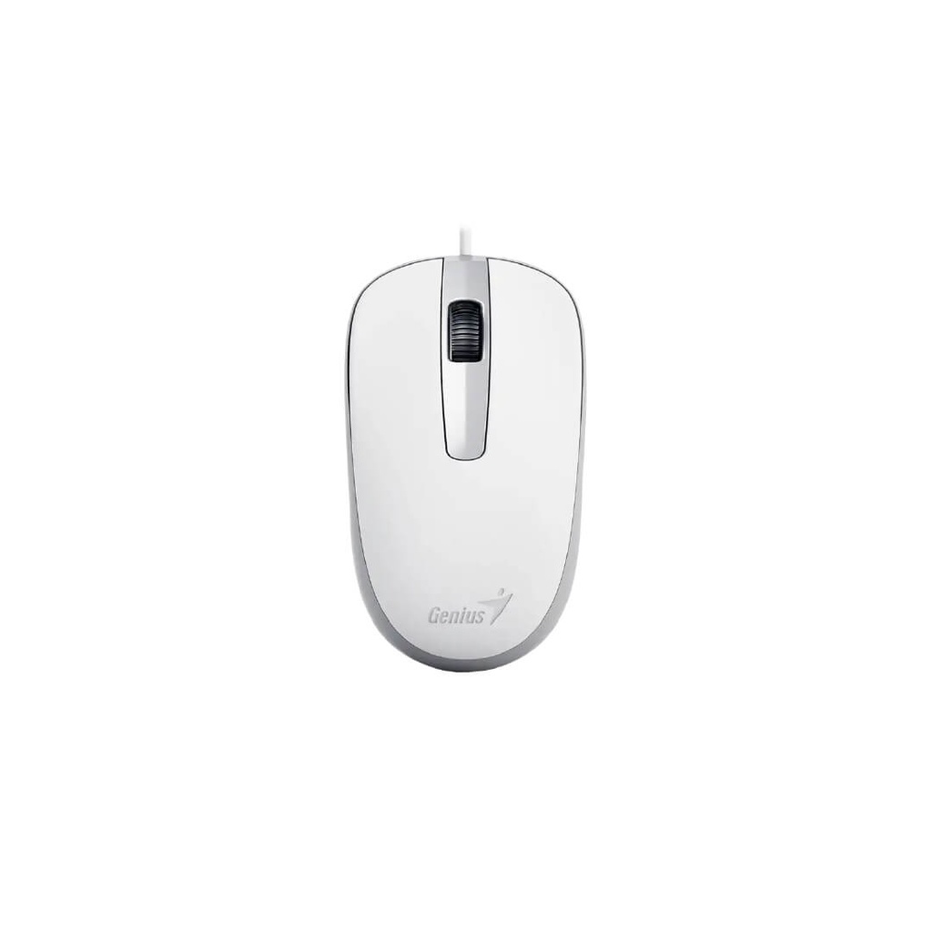 Mouse Genius DX-120 USB Alambrico Negro