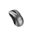 Mouse Genius Ergo 8100S Champagne Titanium
